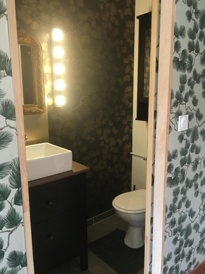 Charmant Appartement Sur Cour, Le Berlingott Bagnères-de-Bigorre Eksteriør billede